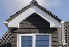 Beautiful Fascias